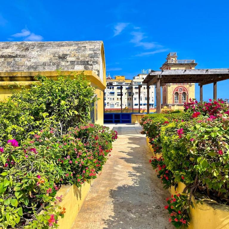Calamari Homes - El Porvenir 205 - Walled City - Three-Bedroom Apartment - 20