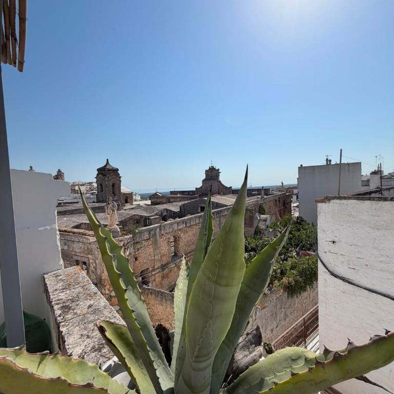 Casa Ulivo - Appartamento con 2 Camere da Letto - 17