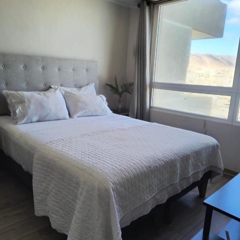 El solsticio - Apartamento de 1 dormitorio - 5