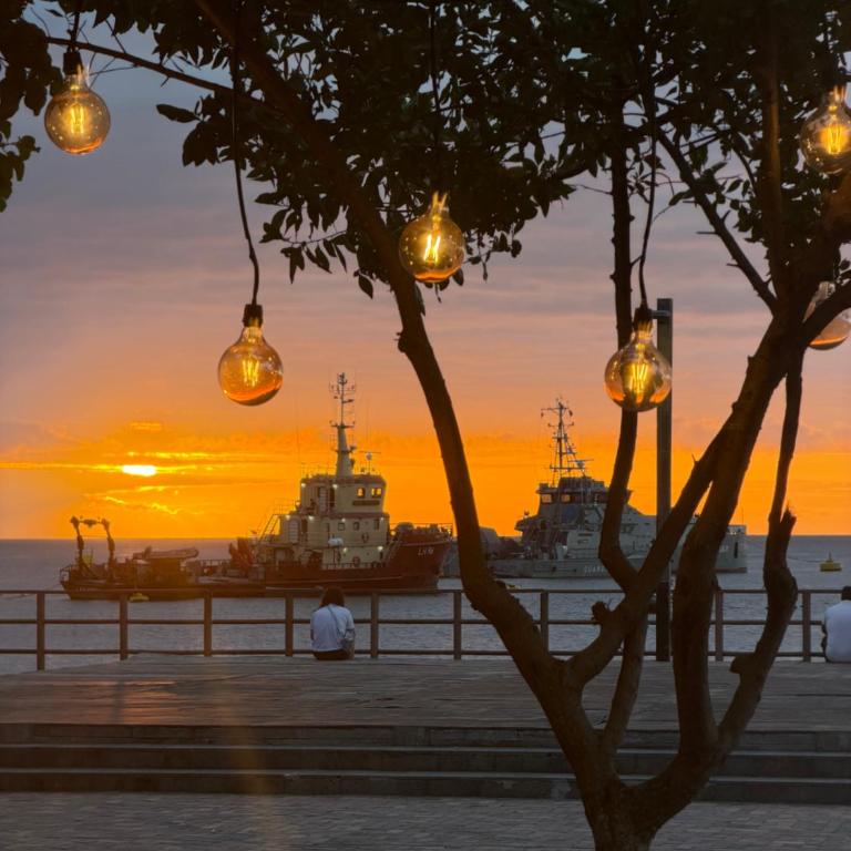 Finch Nest Malecón - Apartamento de 1 dormitorio - 14
