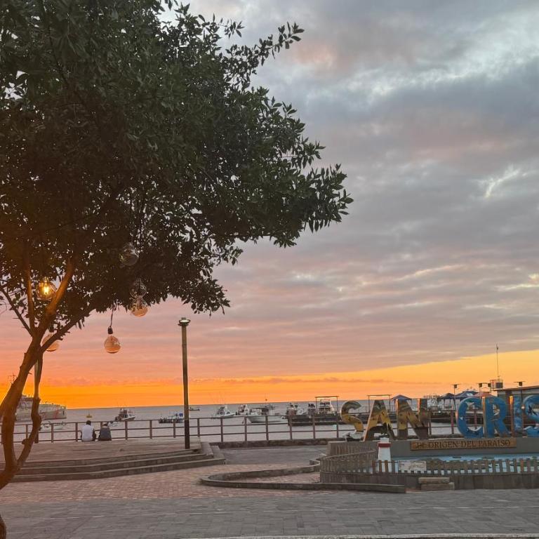 Finch Nest Malecón - Apartamento de 1 dormitorio - 15