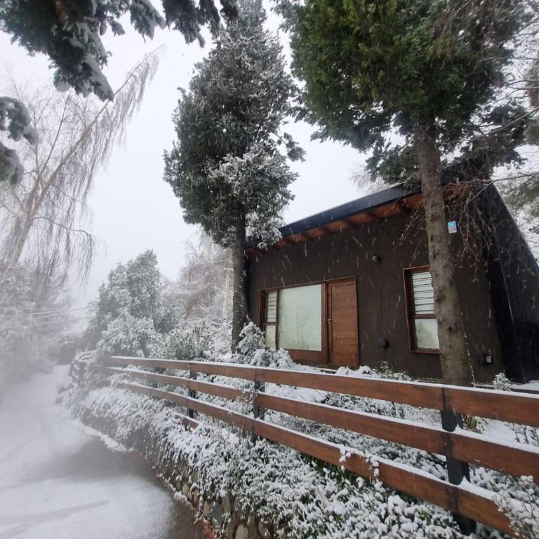 Casa Bosque - One-Bedroom House - 2