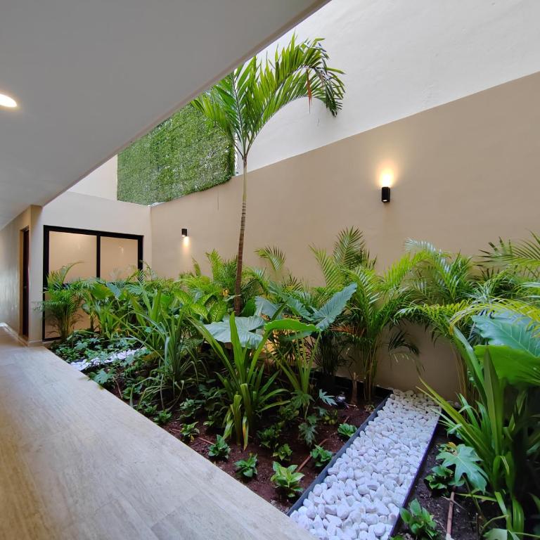 Cautivante estudio en céntrica zona de Playa By Yeah - Studio mit Schlafsofa - 16