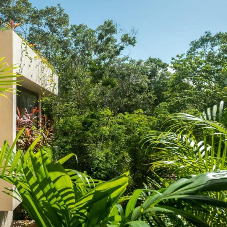 Villa Caiman Luxury 5BR Villa in Los Santos Tulum - Ferienhaus - 10