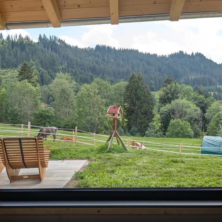Chalet Berg & Balance - Whirlpool, Natur, Auszeit - Chalet mit 1 Schlafzimmer - 15