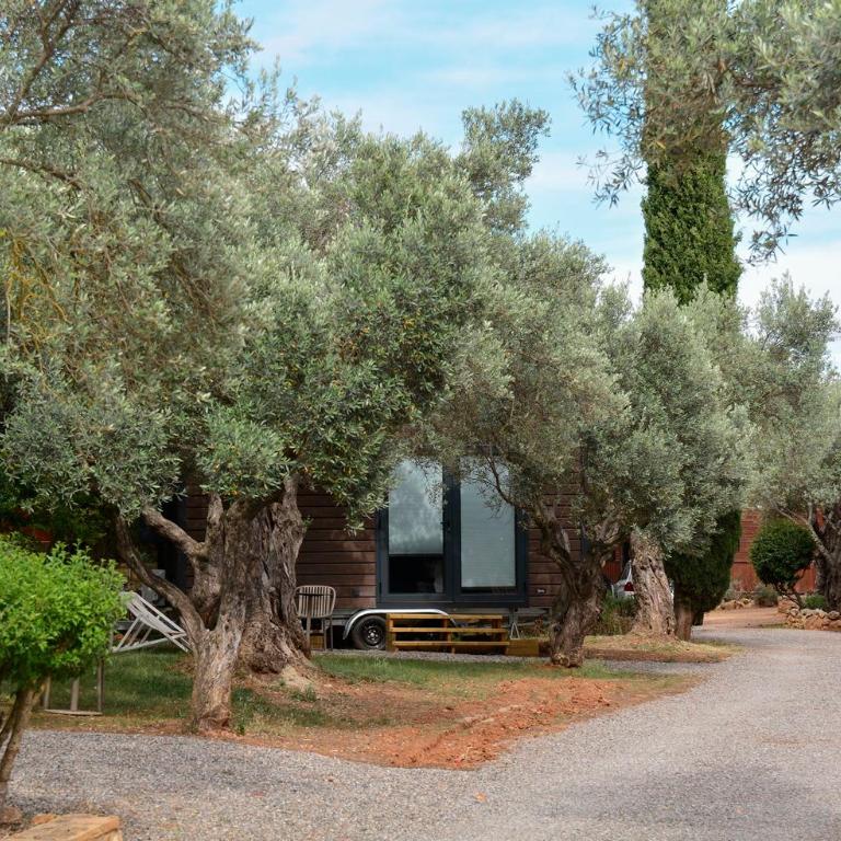 Camping Alquézar - Bungalow Deluxe con vistas al jardín - 5