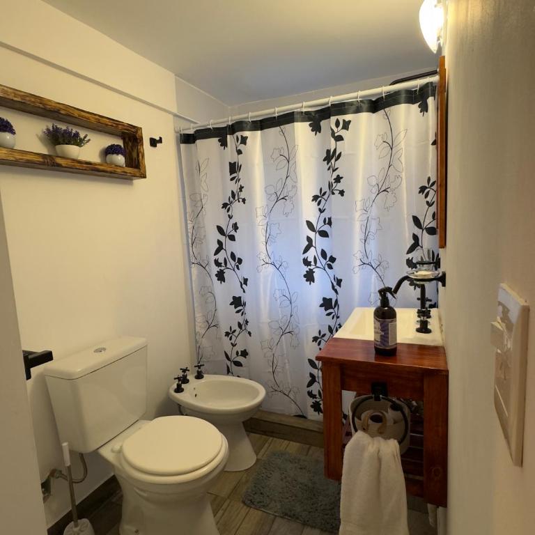 Departamento en complejo residencial entero en San Carlos de Bariloche, Argentina - Studio Apartment - 7