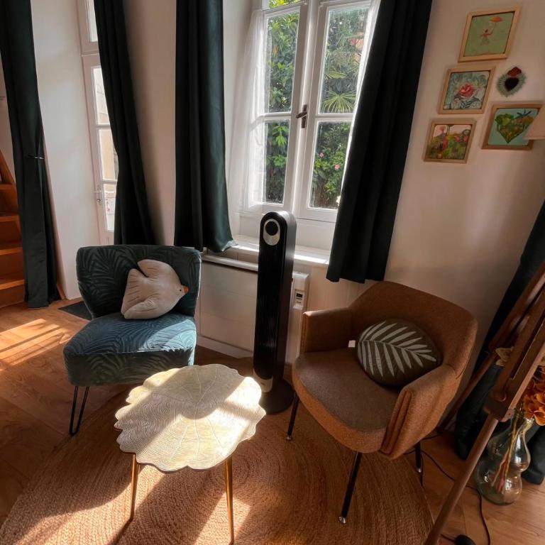 Studio calme avec cour arborée - Pau centre - Appartement 1 Chambre - 19
