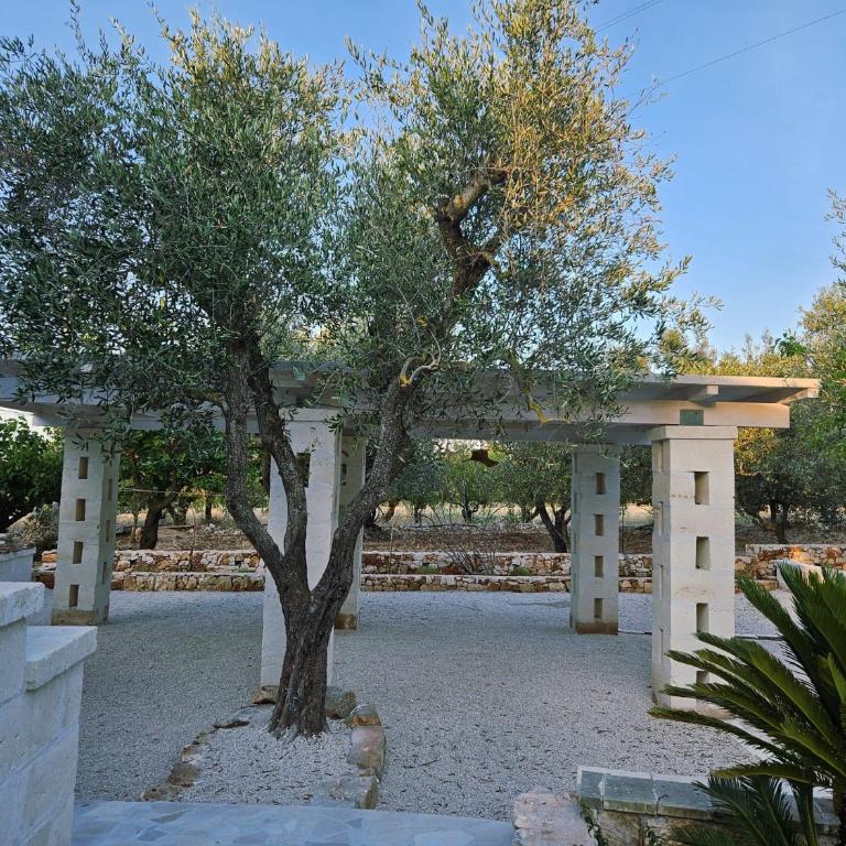 Villa Trullo Septis - Casa Vacanze - 31