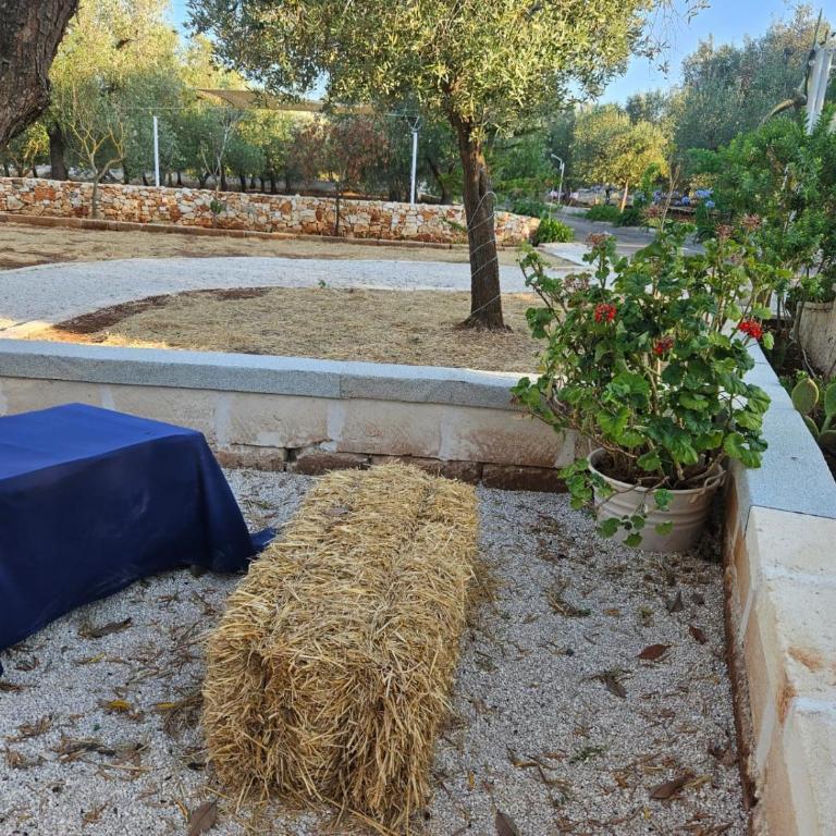 Villa Trullo Septis - Casa Vacanze - 32