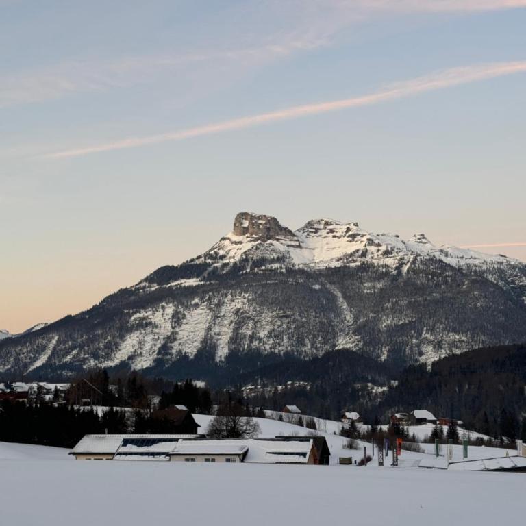 Bergblick Salzkammergut - Apartment mit 1 Schlafzimmer - 18
