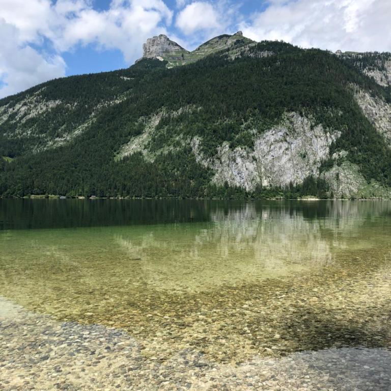 Bergblick Salzkammergut - Apartment mit 1 Schlafzimmer - 21