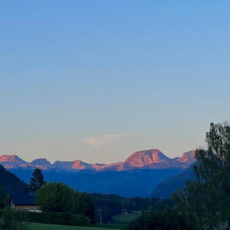 Bergblick Salzkammergut - Apartment mit 1 Schlafzimmer - 16