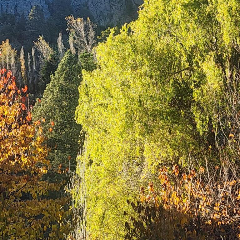 Piedra Partida - Two-Bedroom Chalet - 16