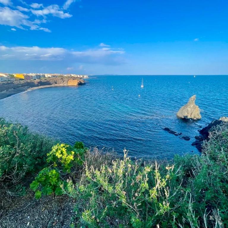 C19 Saint Loup - One-Bedroom Apartment - 23