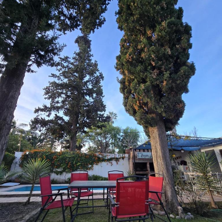 La Chiquitita Dpto - Apartamento de 1 dormitorio - 20