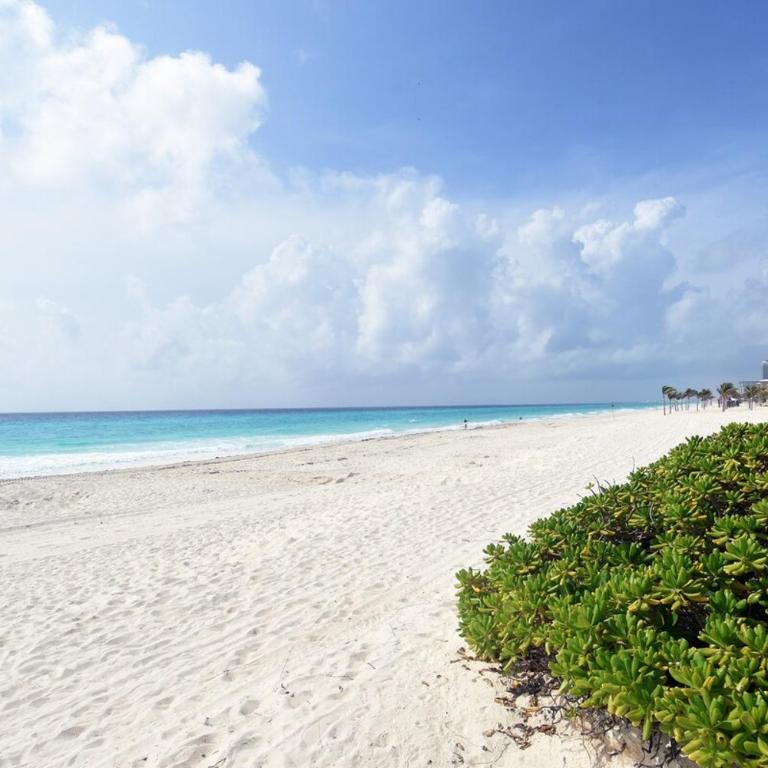 Oceanfront Apartment with a View of the Caribbean 114 - Apartamento de 1 dormitorio - 8