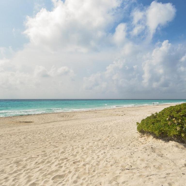 Oceanfront Apartment with a View of the Caribbean 114 - Apartamento de 1 dormitorio - 32