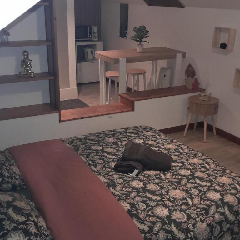 Studio 5 cosy de la demi-lune - Apartment mit 1 Schlafzimmer - 2