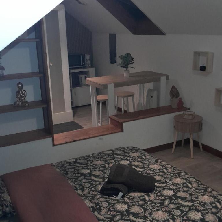 Studio 5 cosy de la demi-lune - Apartment mit 1 Schlafzimmer - 5