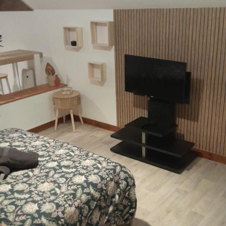 Studio 5 cosy de la demi-lune - Apartment mit 1 Schlafzimmer - 4