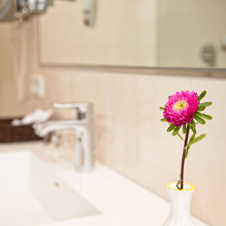 Hotel Rasmushof Kitzbühel - Chambre Double pour 1 Adulte - 6