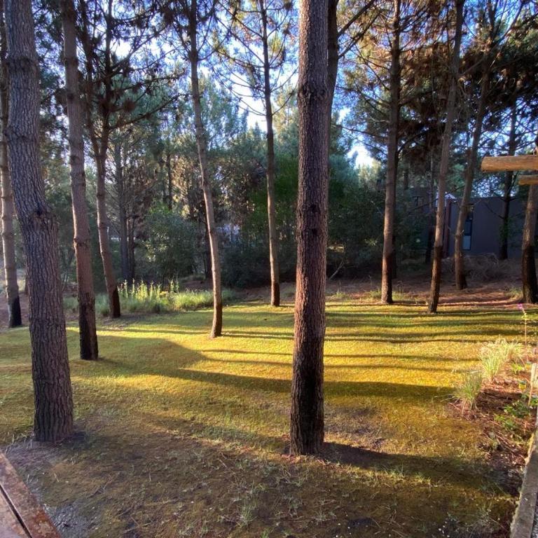 Casa en el bosque y cerca de la playa - Casa - 2