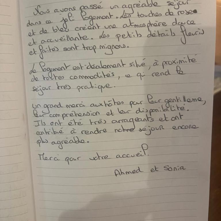 Le petit Matisse au cœur de Vence - Appartement - 33