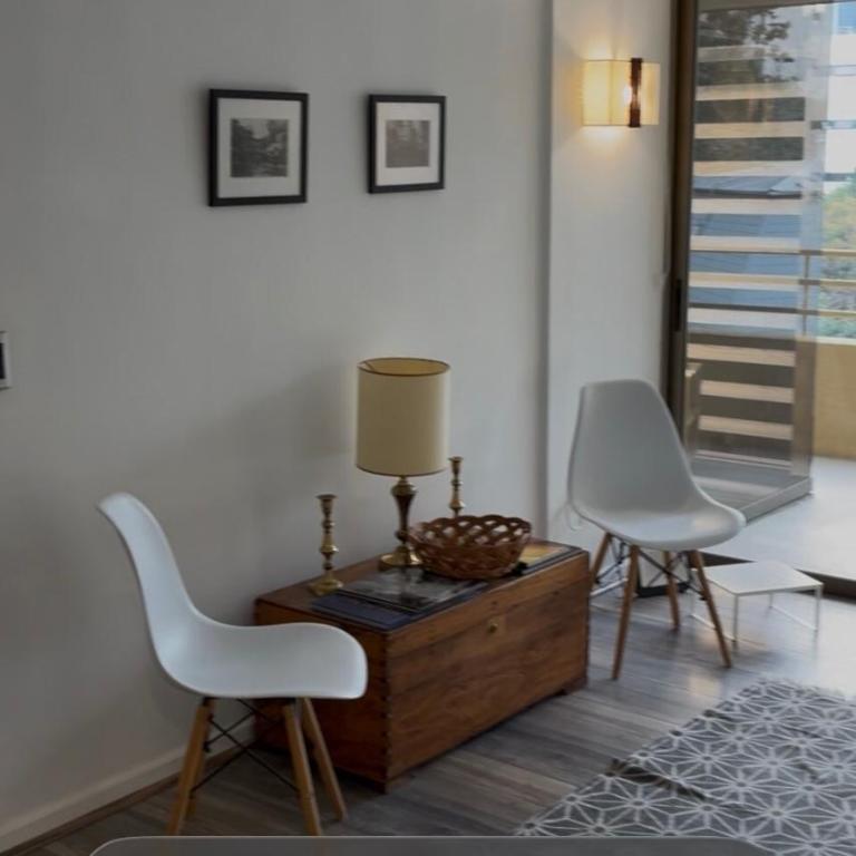 In the heart of Providencia - Two-Bedroom Apartment - 10