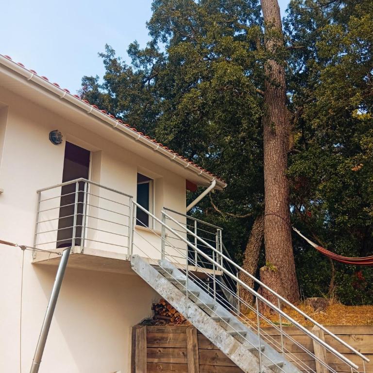 Surf and bike Capbreton - Chambre Double avec Salle de Bains Privative - 3