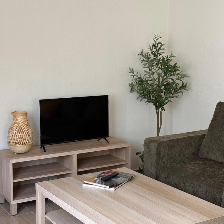 Remodeled apartment, park and 2 parking spaces - Three-Bedroom Apartment - 6