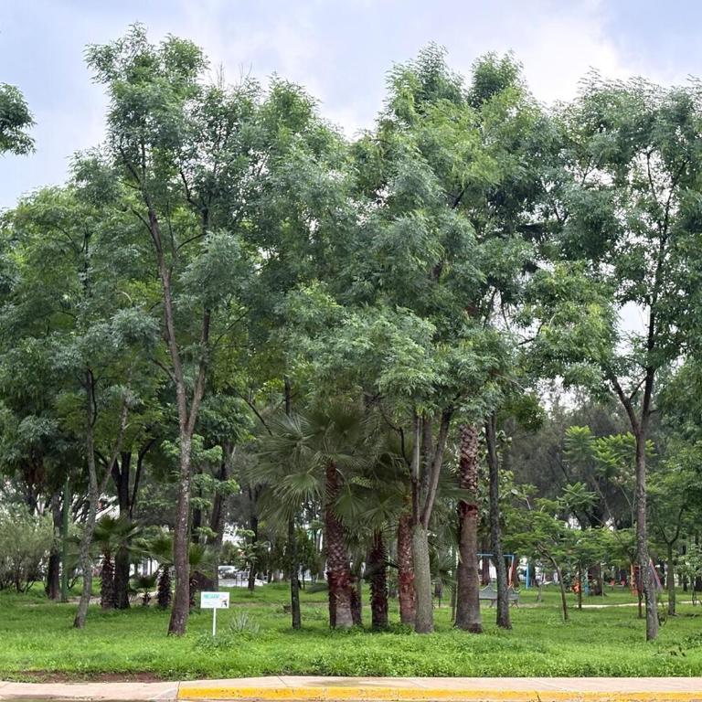 Remodeled apartment, park and 2 parking spaces - Three-Bedroom Apartment - 5