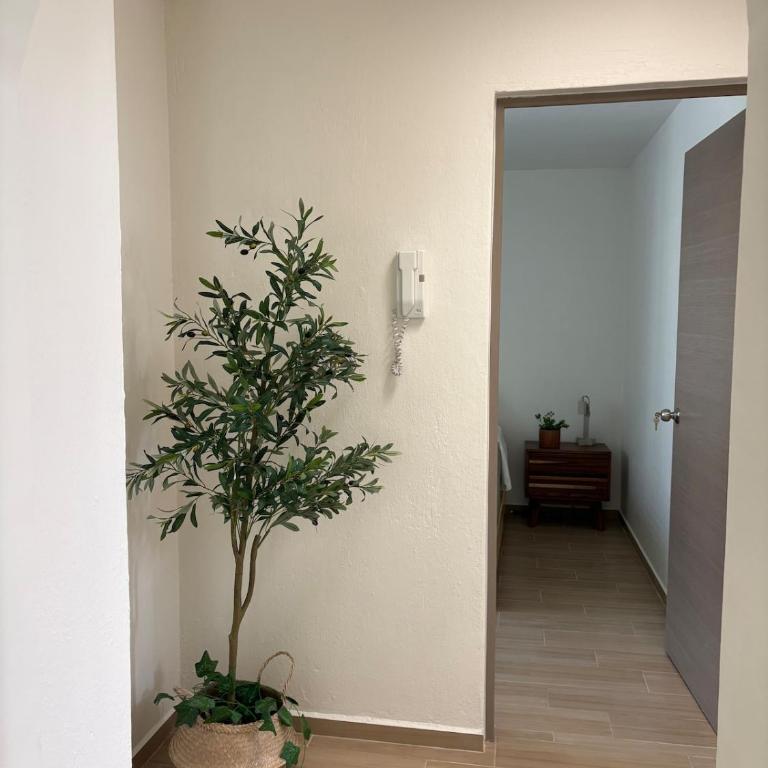 Remodeled apartment, park and 2 parking spaces - Three-Bedroom Apartment - 15