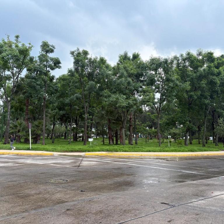 Remodeled apartment, park and 2 parking spaces - Three-Bedroom Apartment - 41