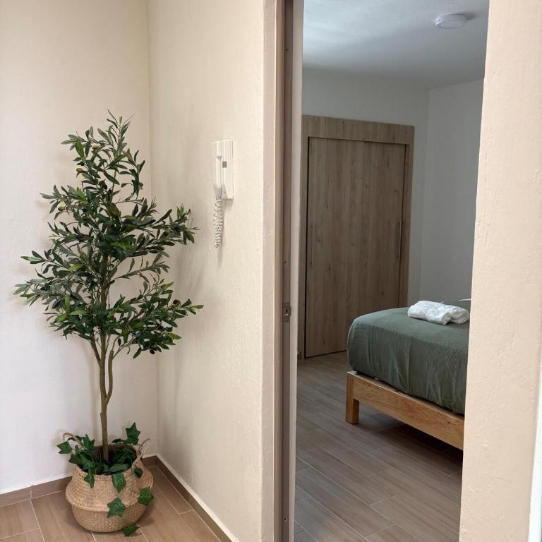 Remodeled apartment, park and 2 parking spaces - Three-Bedroom Apartment - 36