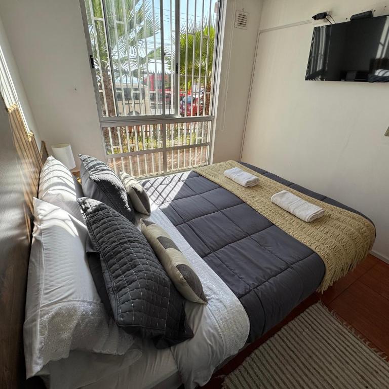 Depto 3 Habitaciones - Parking - Ideal Empresas y Familias - Apartamento - Planta baja - 18