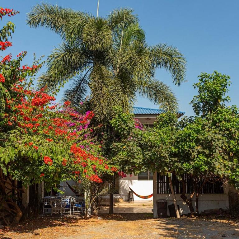 Kasa Grande Punta Blanca playa, parqueo, Wi-Fi, AC, cocina, BBQ - Villa de 1 dormitorio - 15