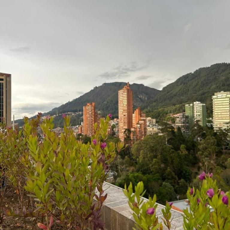 Loft Moderno con vista a Monserrate y zona turística - Apartamento de 1 dormitorio - 22