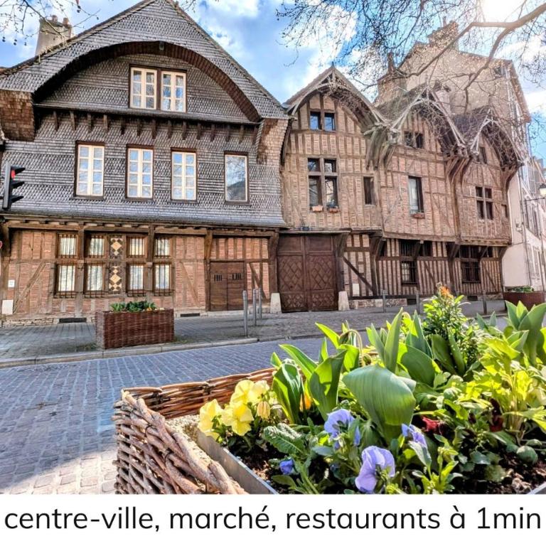 Sous les toits de Troyes pour 3 en centre historique - Apartamento de 1 dormitorio - 22