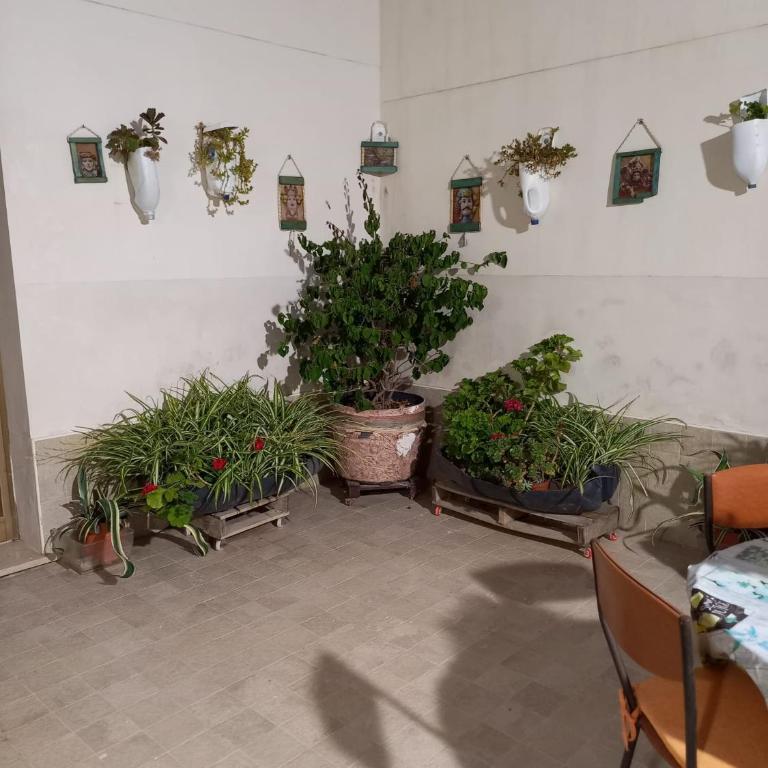 Living Bouganville - Monolocale - 66