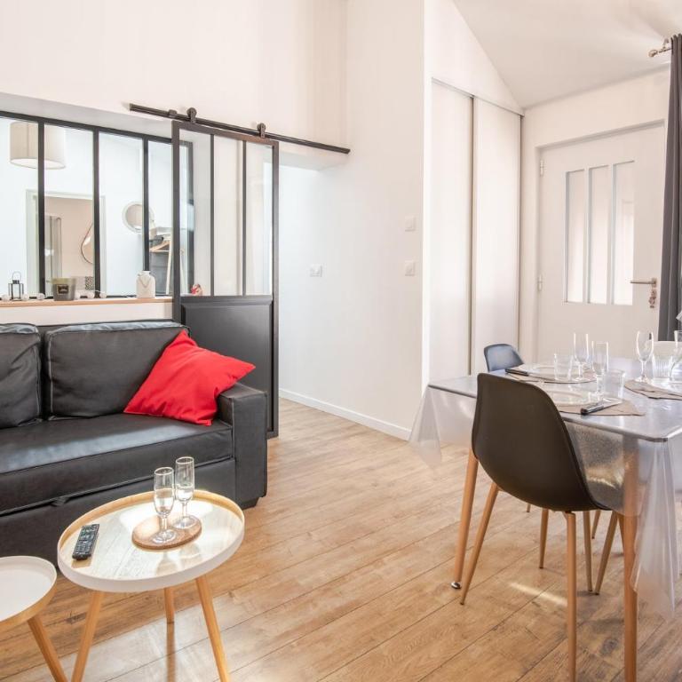 Sur la route du Château d’Amboise - Appartement - 13