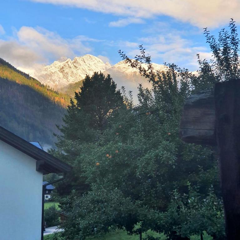 Chalet Das Bergler - Chalet - 7