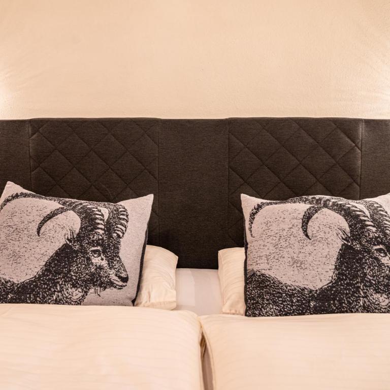 Pension Hartenfels - Doppelzimmer mit Balkon - 20