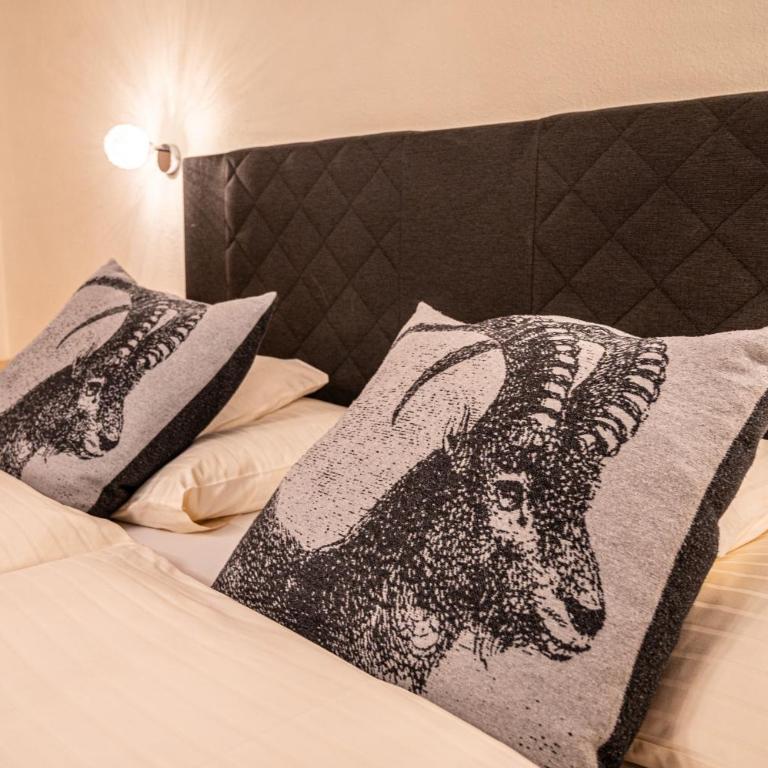 Pension Hartenfels - Doppelzimmer mit Balkon - 31