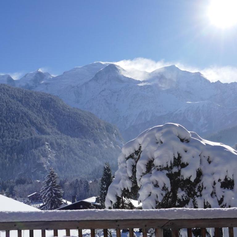 Chamonix petit chalet Cocooning - Chalet 1 Chambre - 26