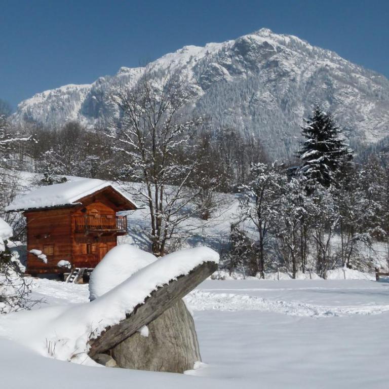 Chamonix petit chalet Cocooning - Chalet 1 Chambre - 1
