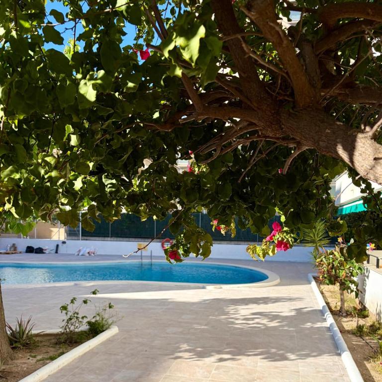 LV Princesa - One-Bedroom Apartment - 7