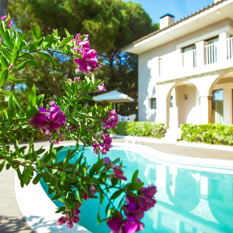 Villa Palangre - Maison 6 Chambres - 2