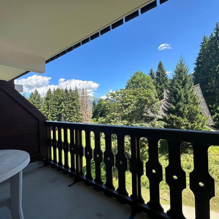 Charmant appartement 6 pers, balcon avec vue montagne, confort moderne, non-fumeur - Appartement 1 Chambre - 16