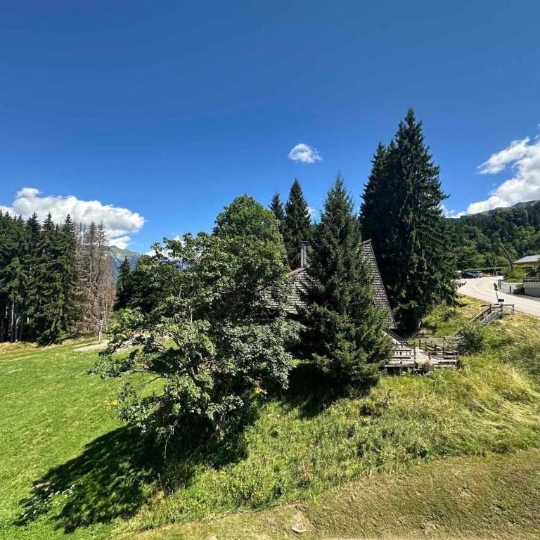 Charmant appartement 6 pers, balcon avec vue montagne, confort moderne, non-fumeur - Appartement 1 Chambre - 18